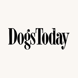 DogsToday