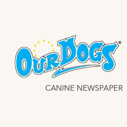 OurDogs