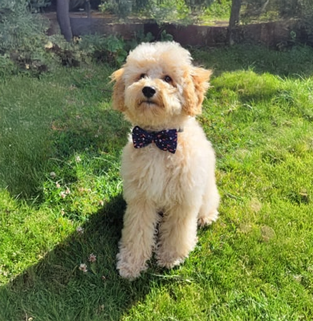 Rupert
