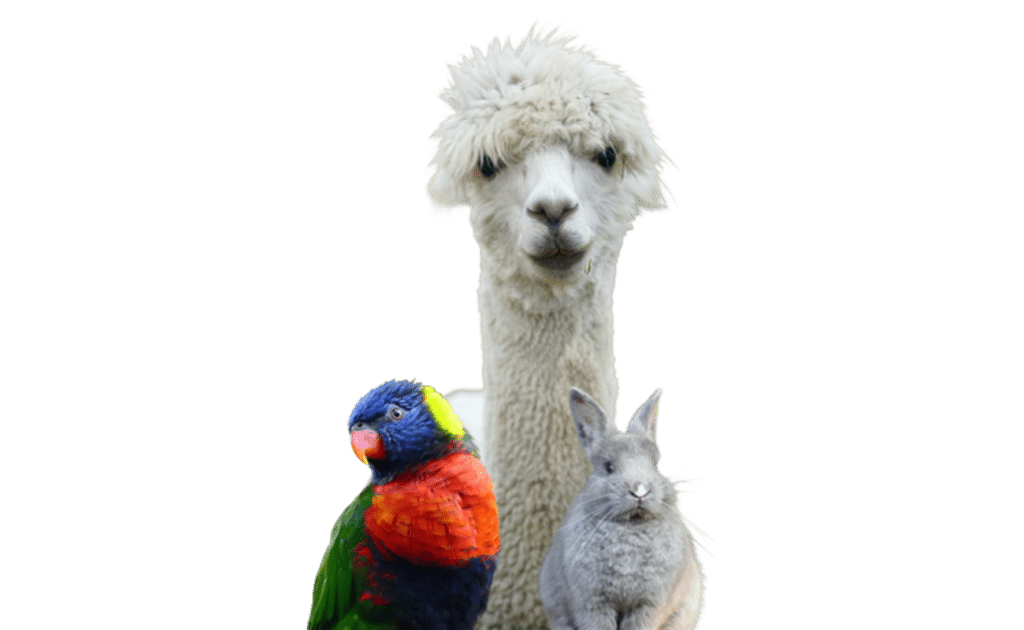 Wormcount Other Animals Feature