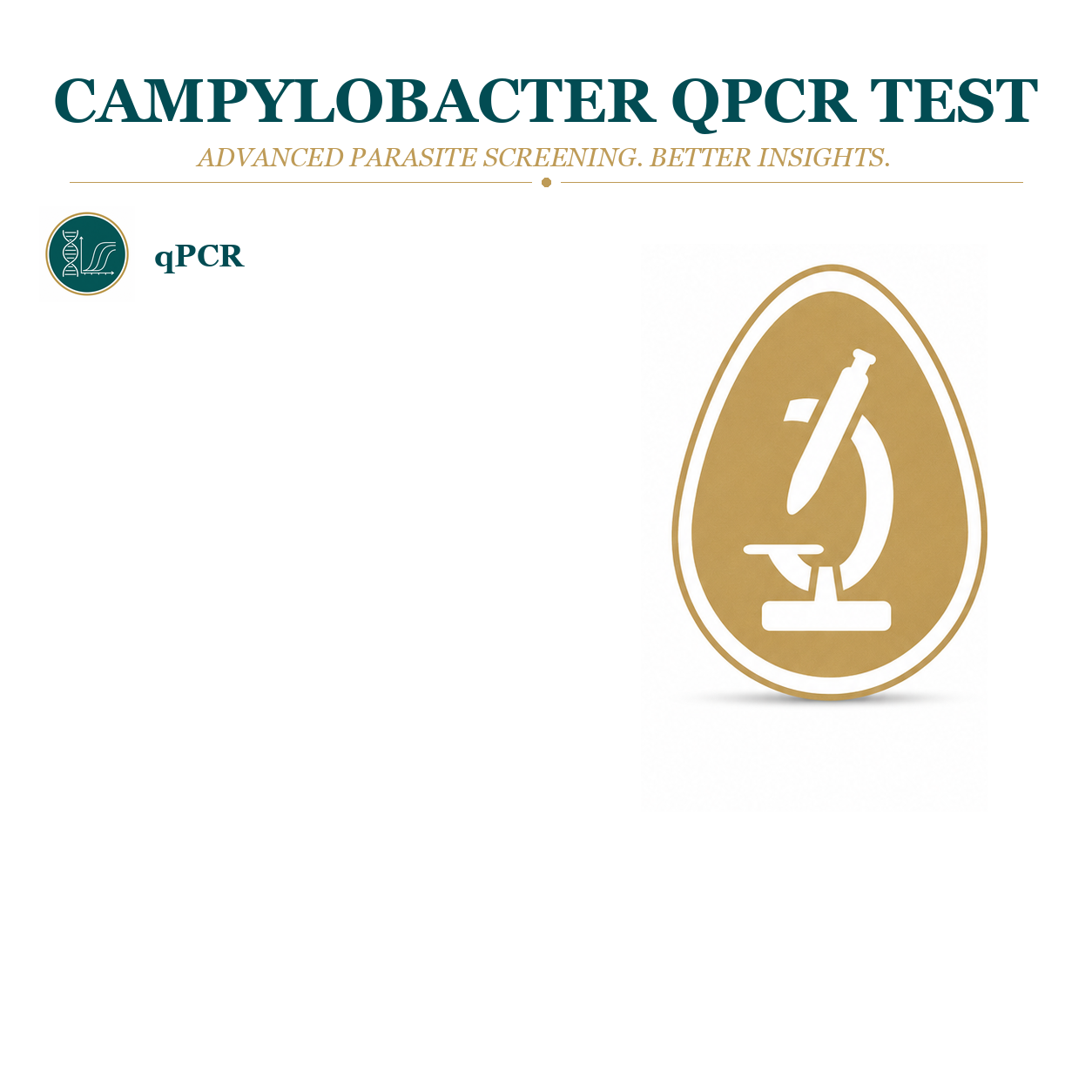 Campylobacter Test (qPCR)