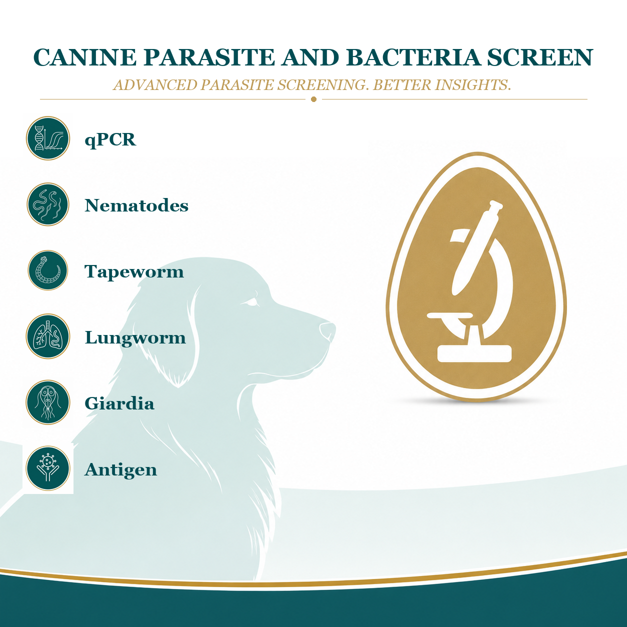 Canine Parasite and Bacteria Panel