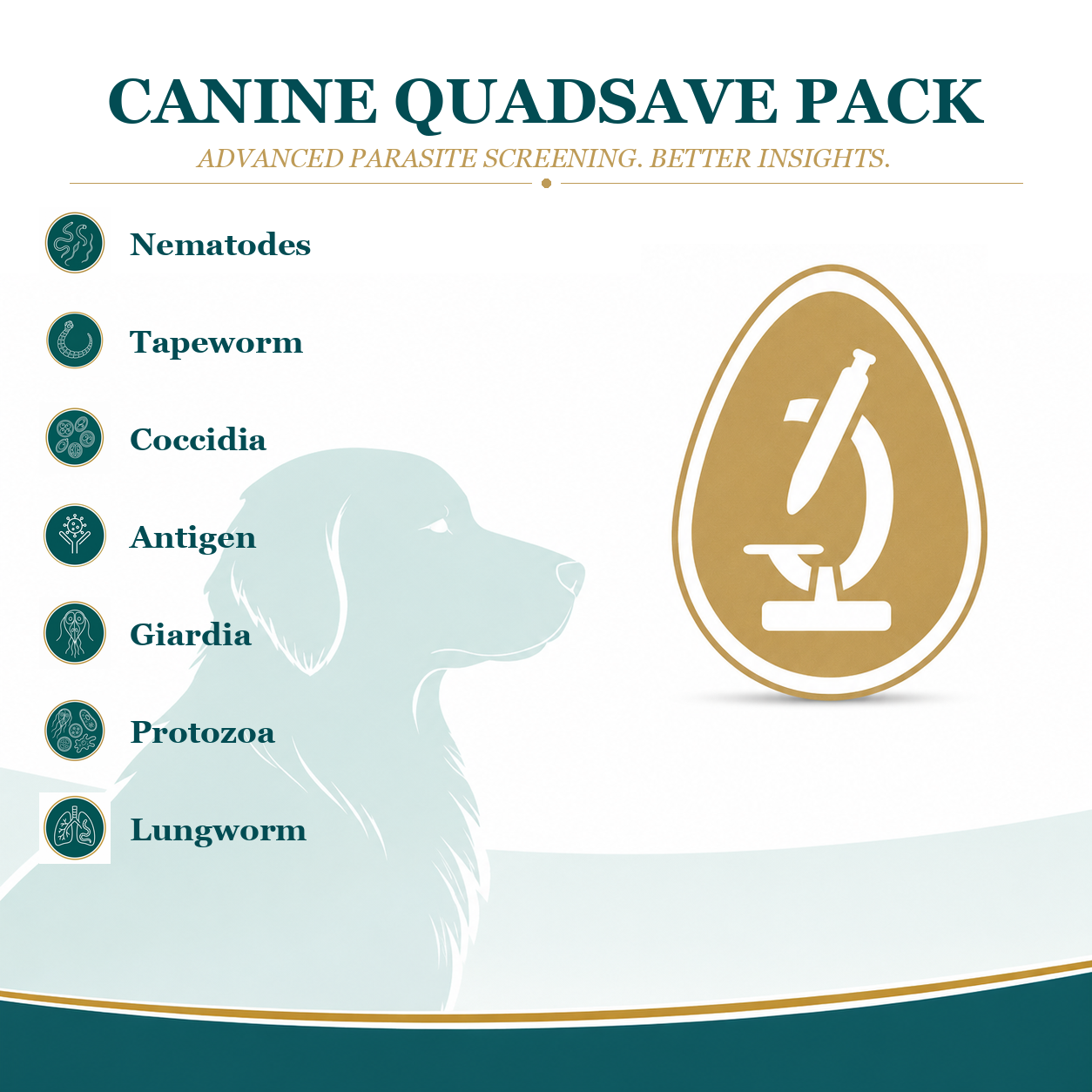 Canine QuadSave - Worm Count, Lungworm, Giardia & Cryptosporidium Test