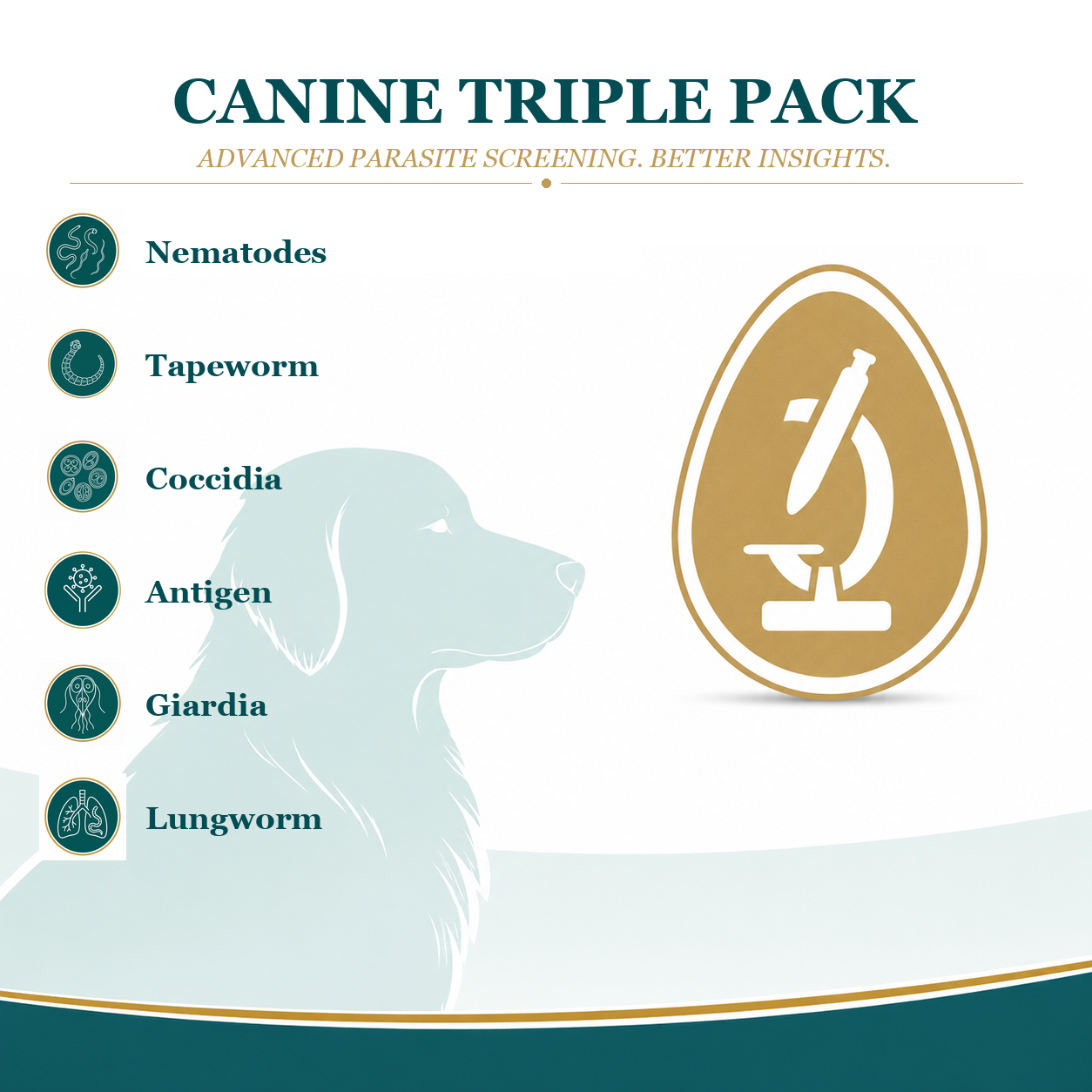 Triple Pack - Worm Count, Lungworm & Giardia Test for Dogs