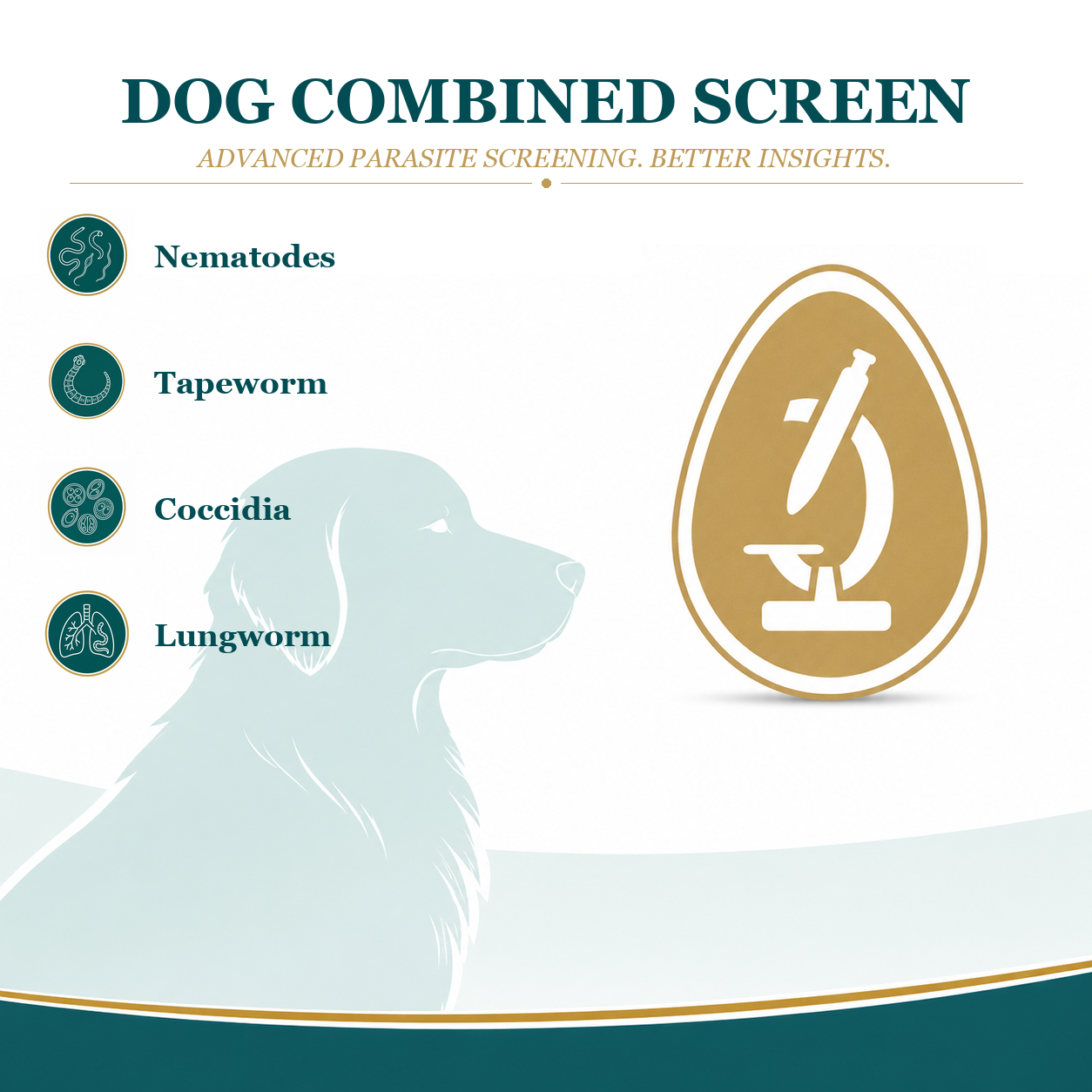 Combined Pack - Worm Count Test & Lungworm Test For Dogs