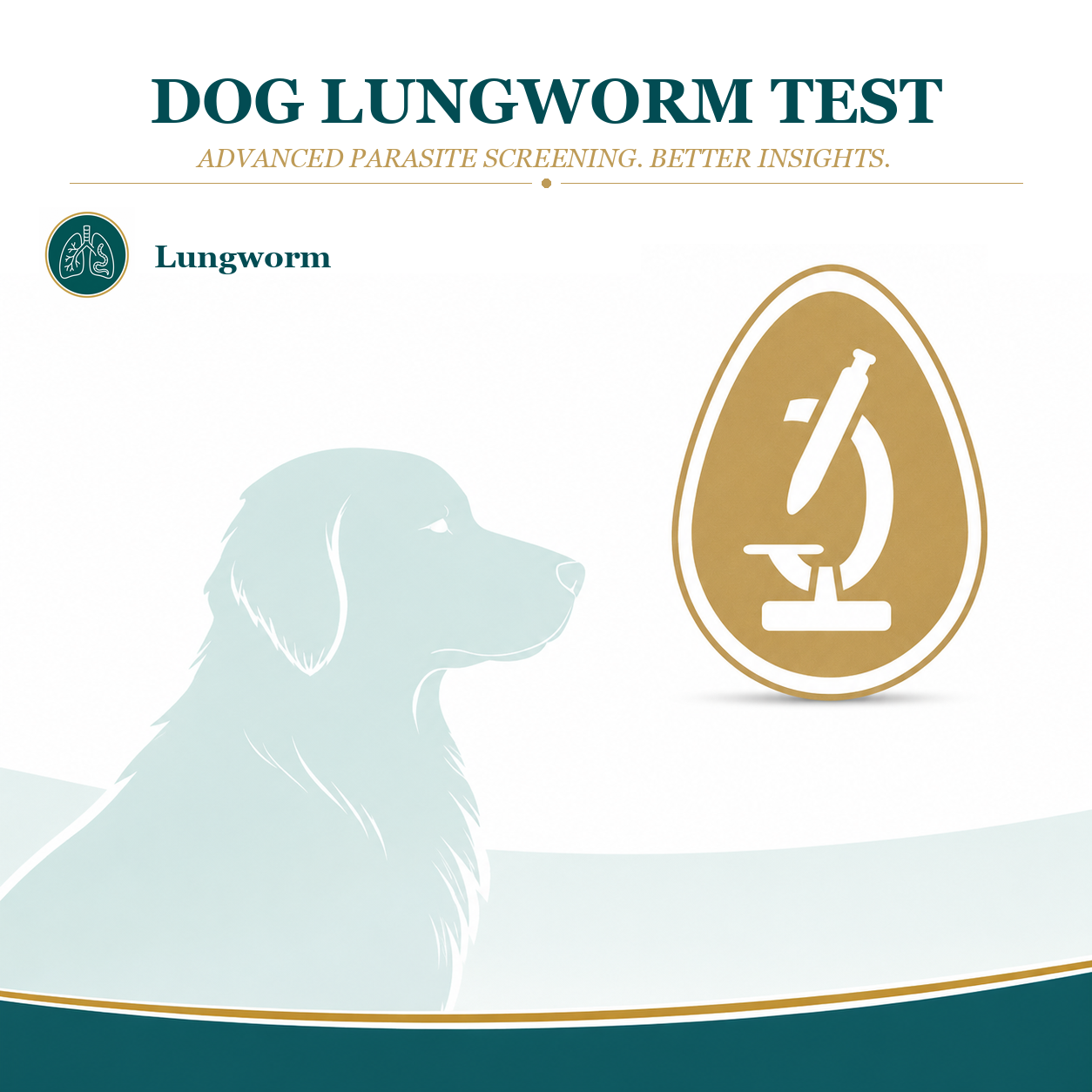 Lungworm Test for Dogs