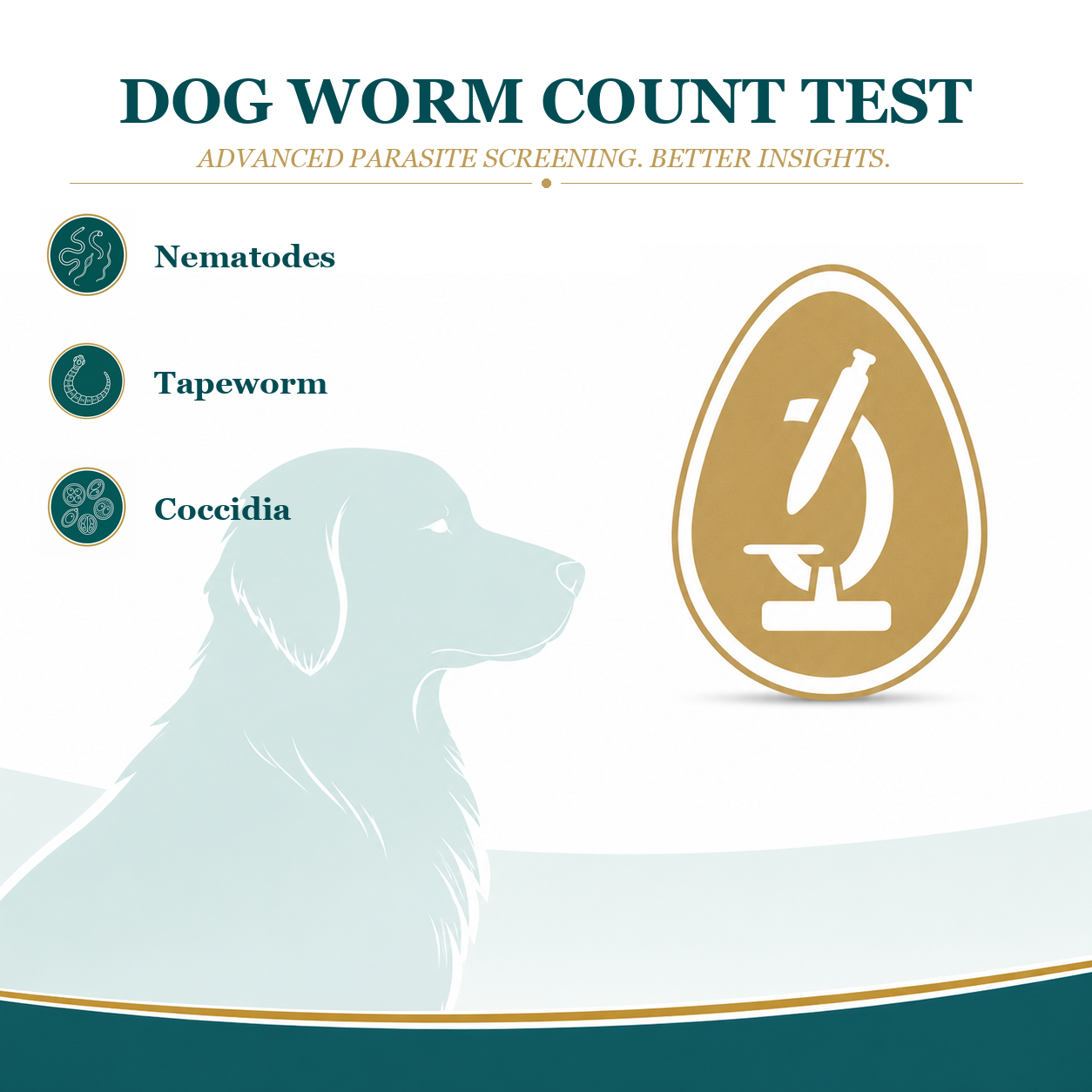 Worm Count Test for Dogs