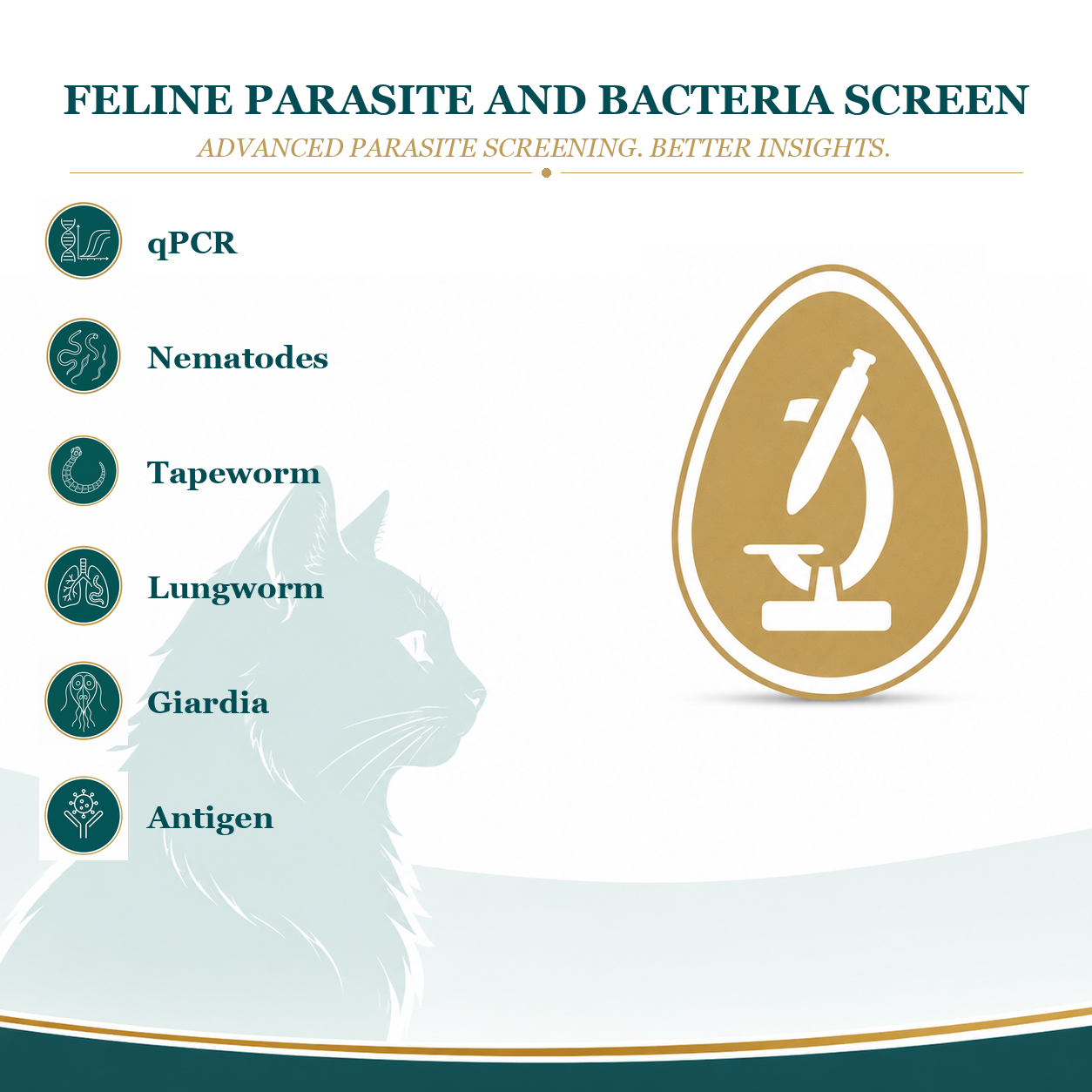 Feline Parasite and Bacteria Panel