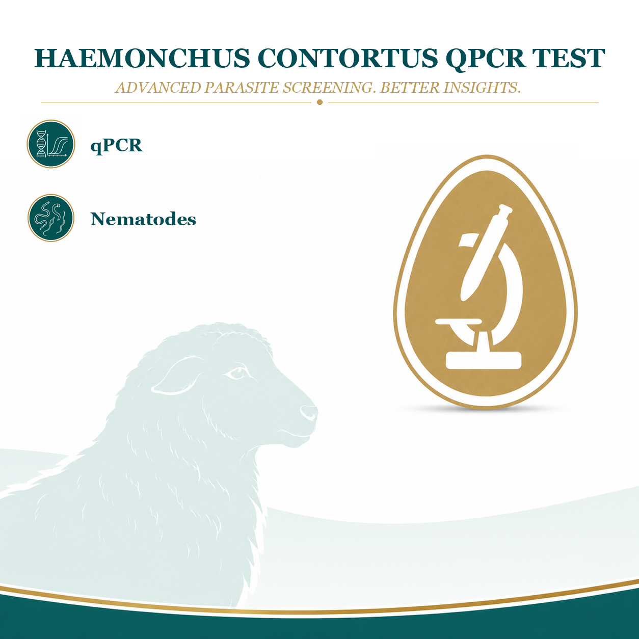 Haemonchus contortus | Barber Pole Worm (qPCR) Test