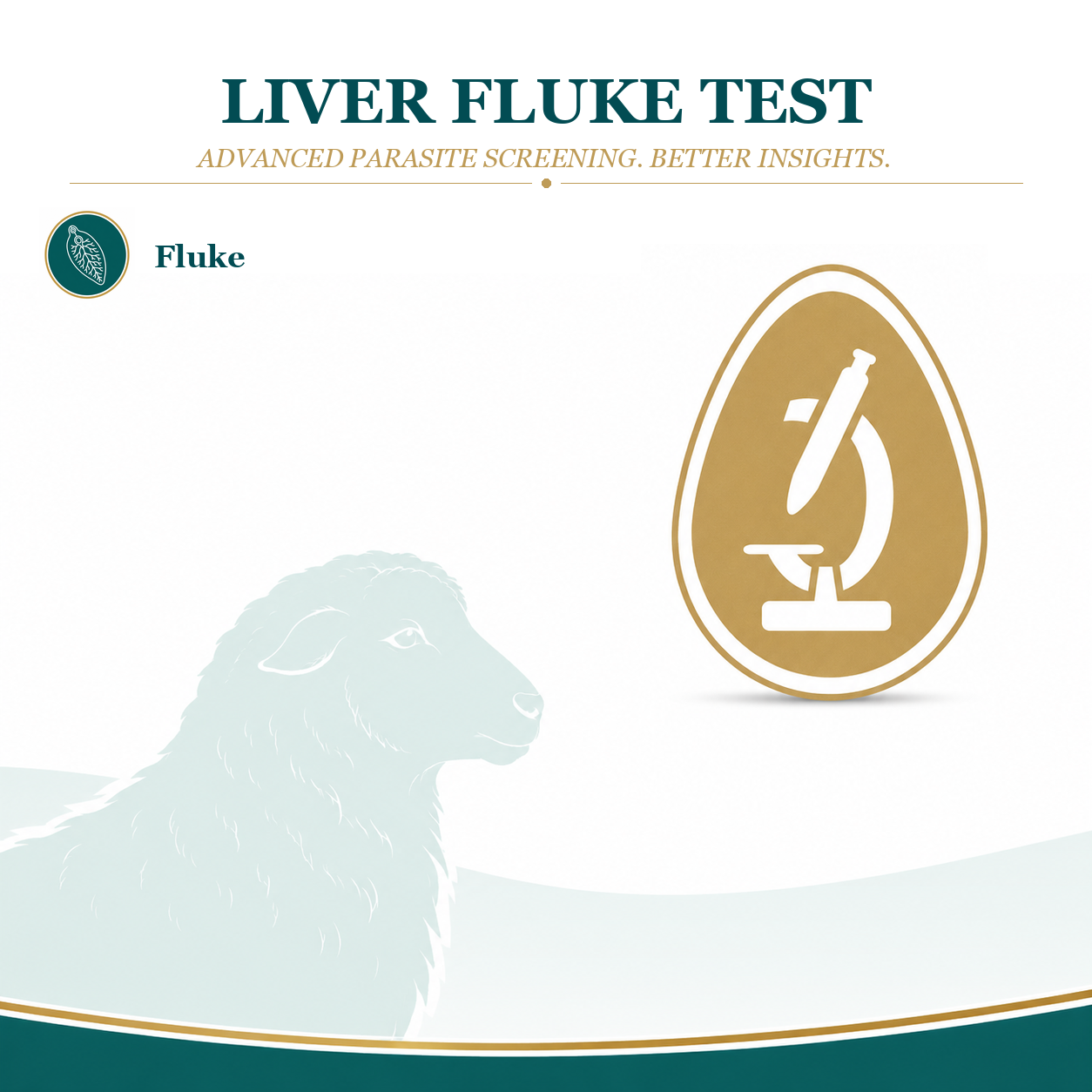 Fluke Test