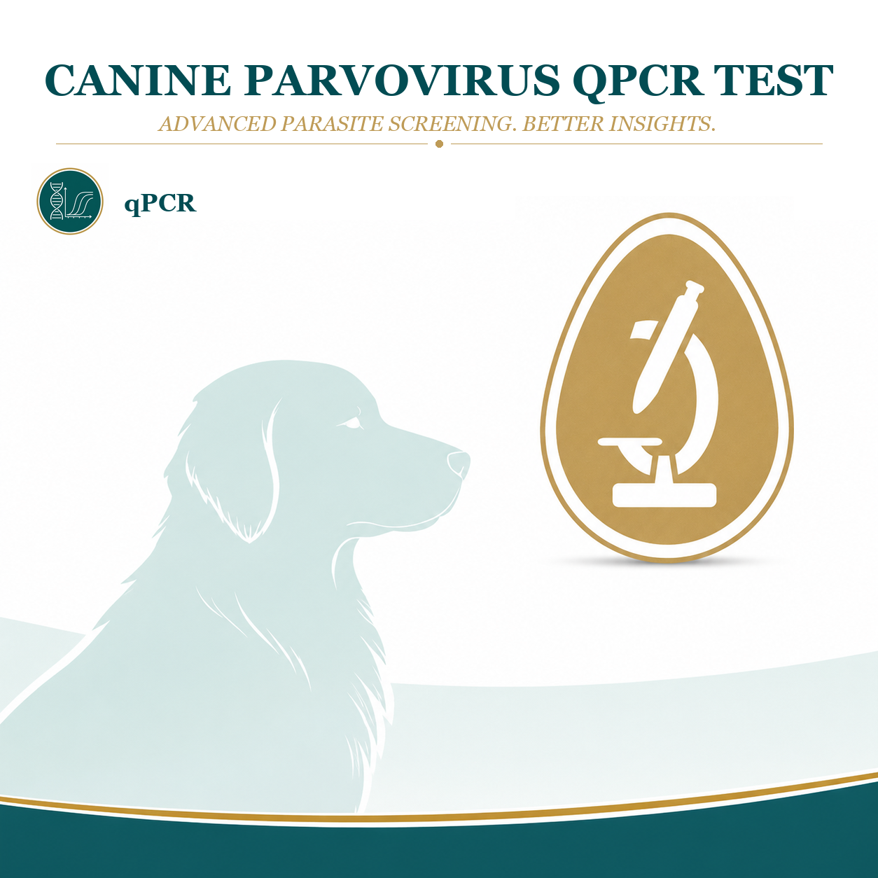 Cabine Parvovirus Test (qPCR)