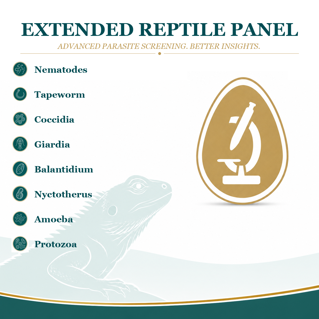 Extended Reptile Panel (level 2)