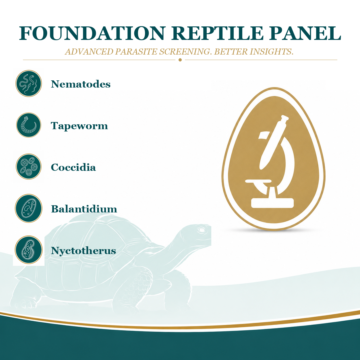 Foundation Reptile Panel (Level 1)