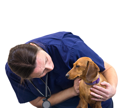 Vet zone