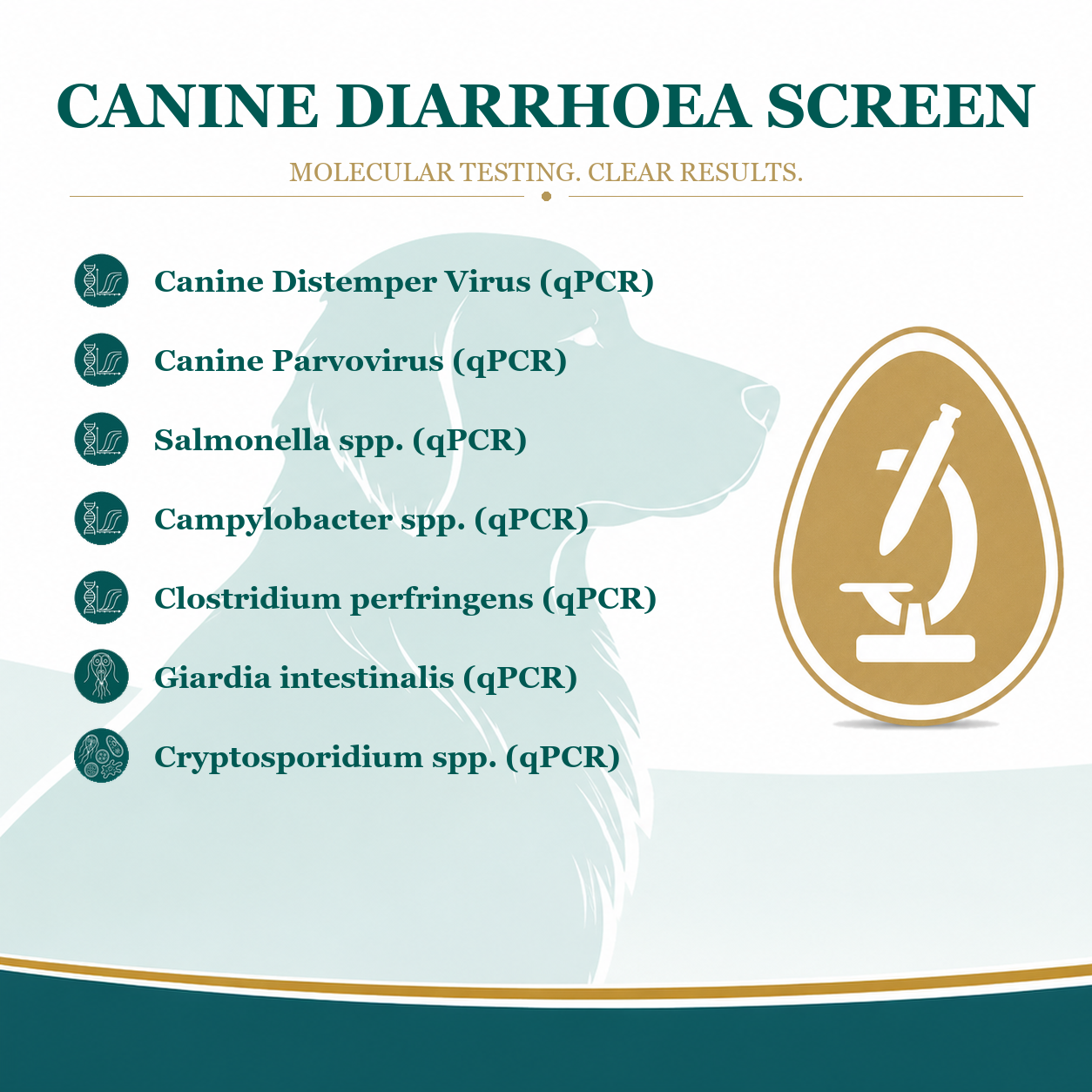 canine diarrhoea test
