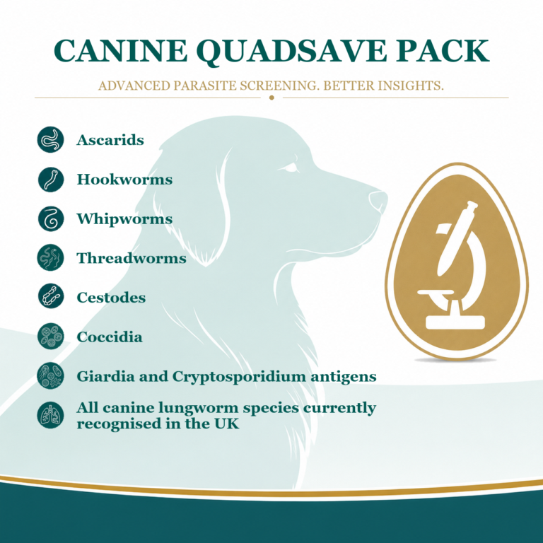 Canine QuadSave parasite test kit