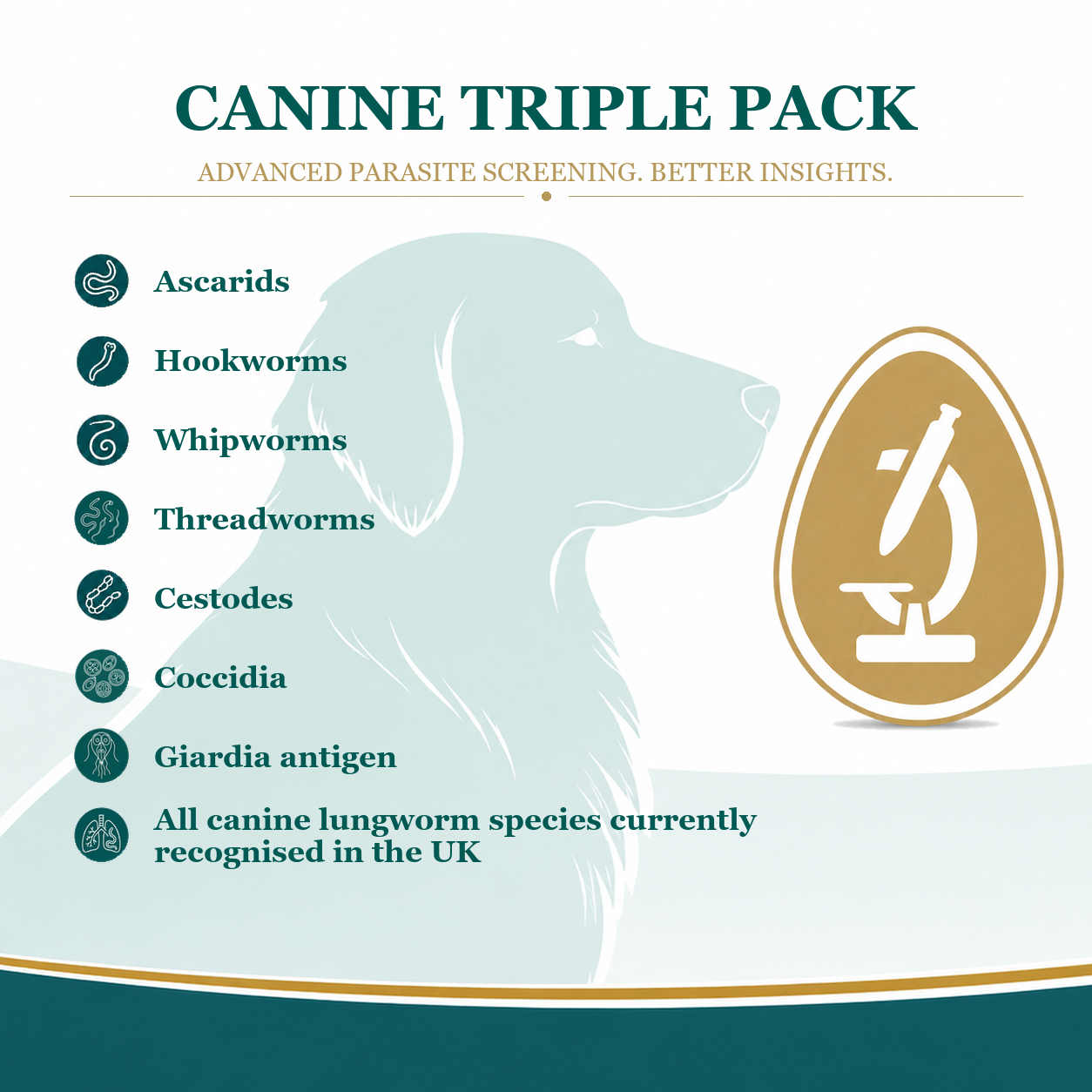 dog parasite screening