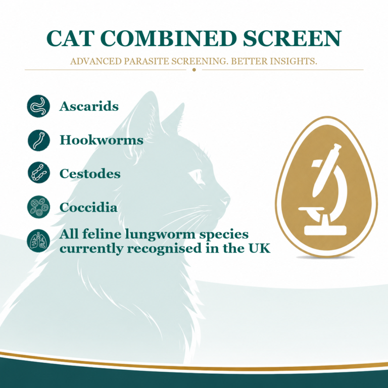 Cat Worm Count and Lungworm Test Kit