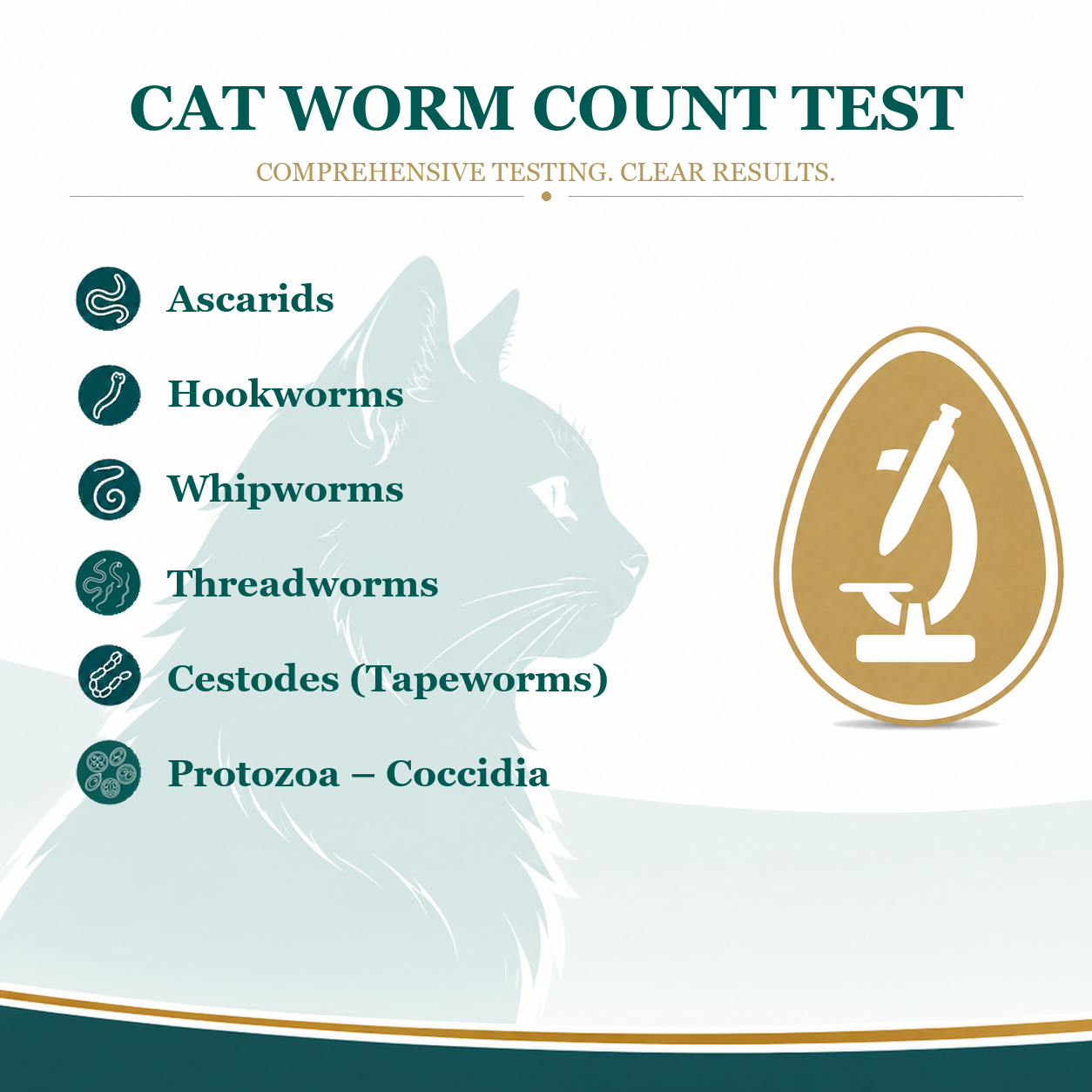 Cat Worm Count Test Kit – Faecal Parasite Screening
