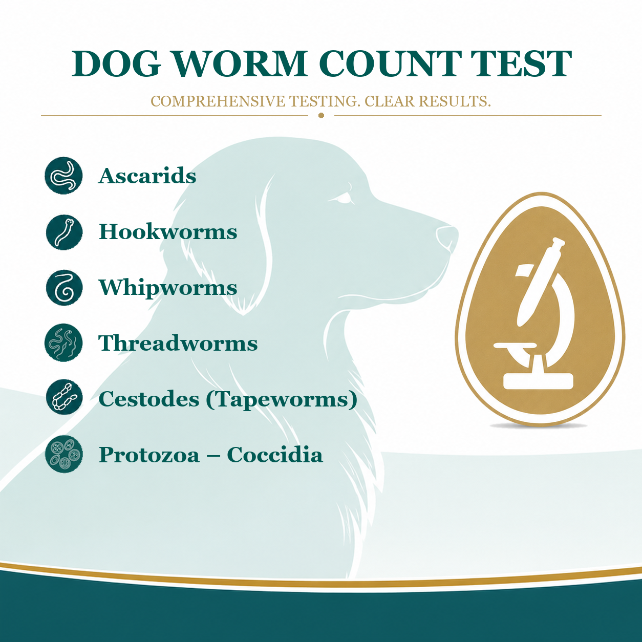 dog worm count test