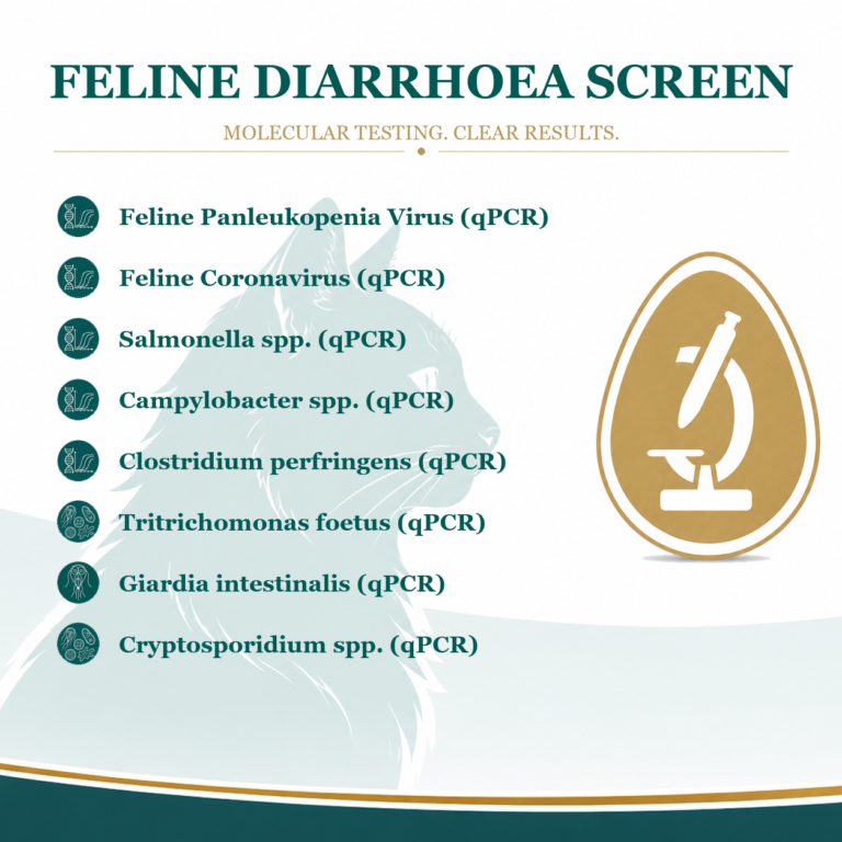 Feline diarrhoea qPCR test kit for cats – Wormcount.com Veterinary Laboratory