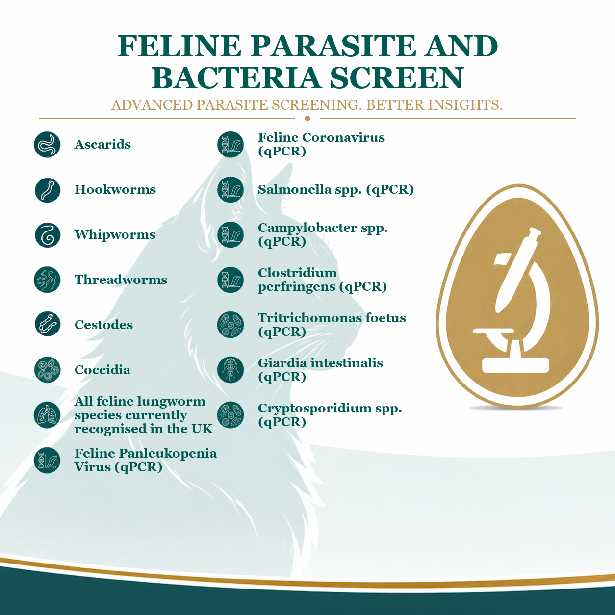 Feline Parasite and Bacteria Panel