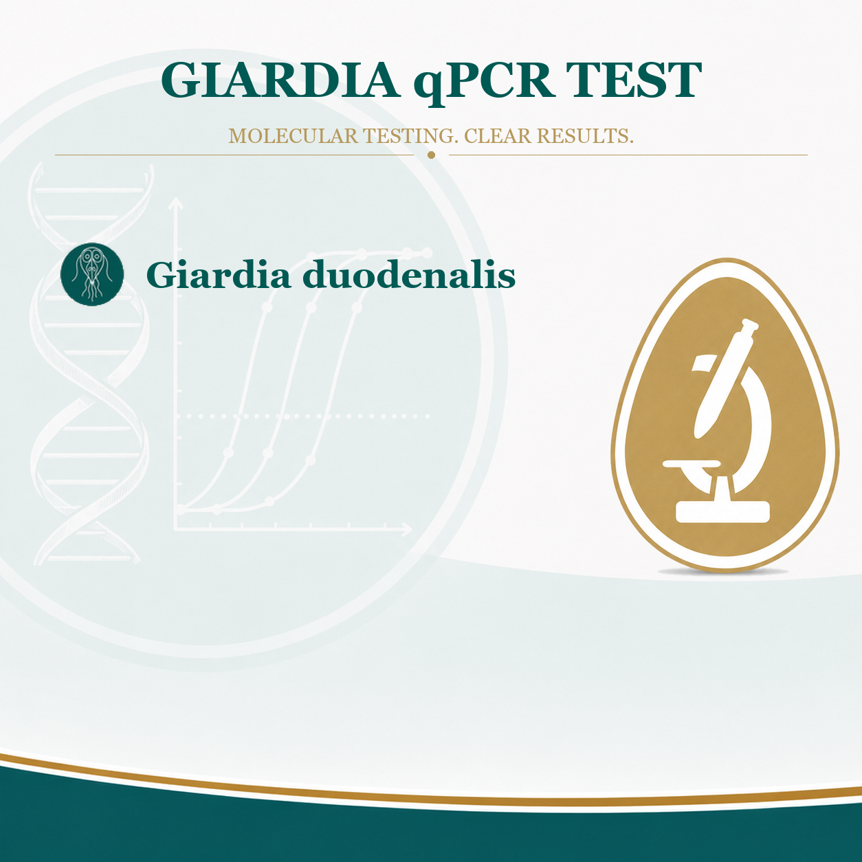 Giardia (qPCR) test for dogs and cats
