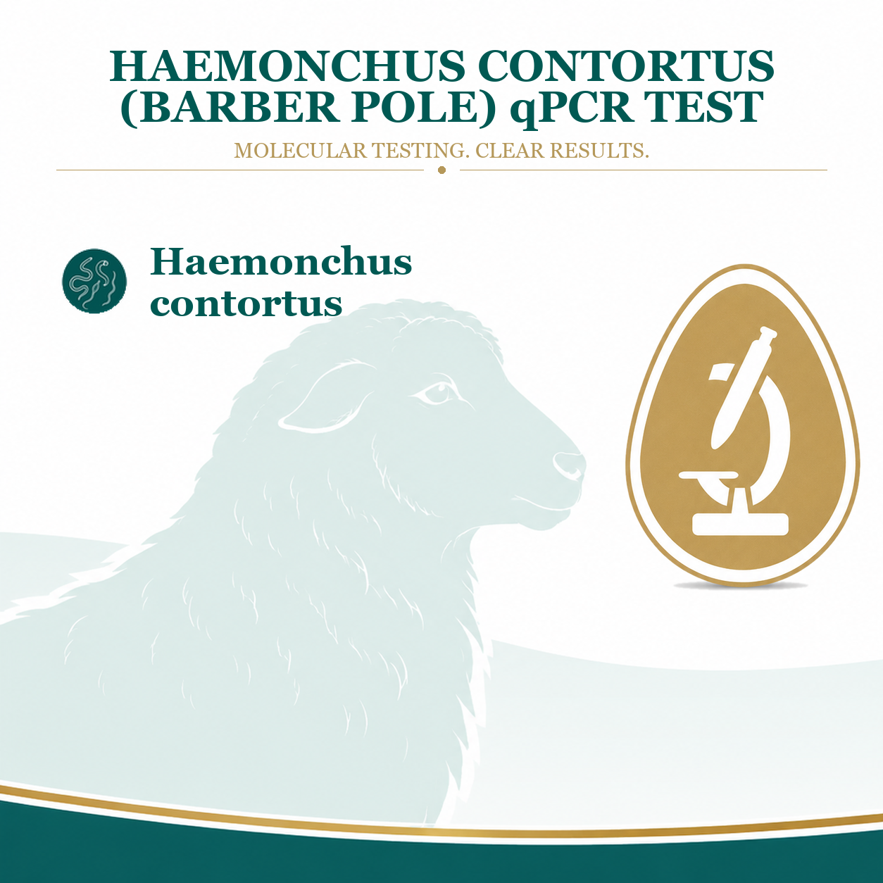 Haemonchus contortus test