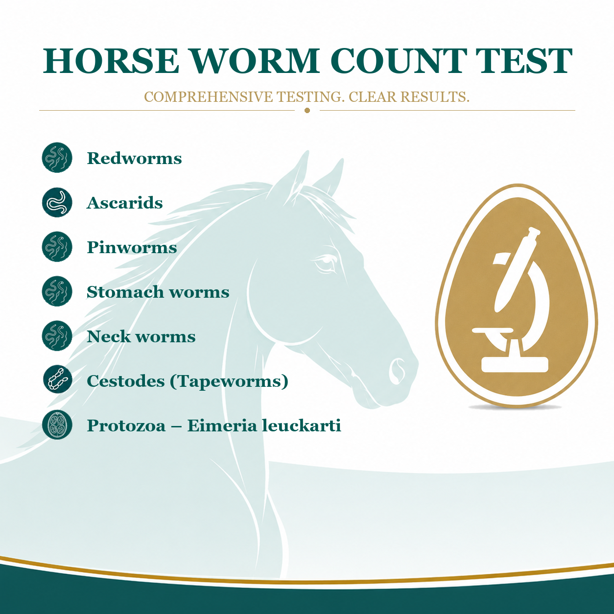 horse worm count test