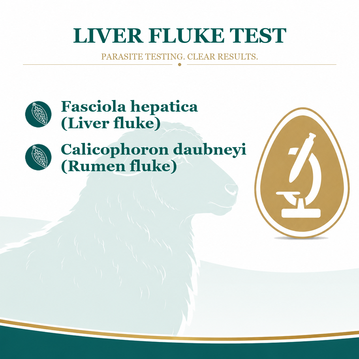 Fluke Test