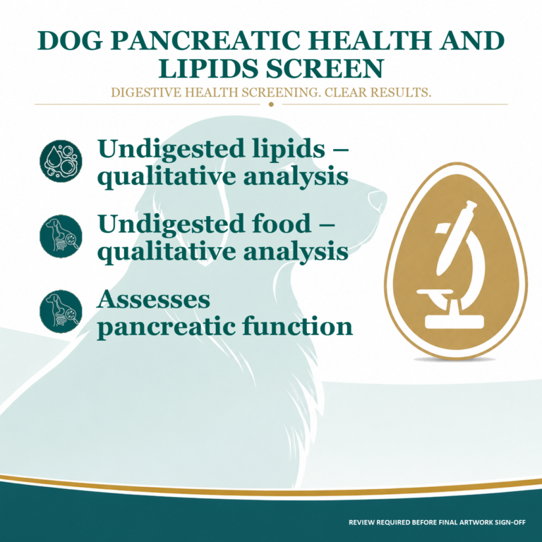 dog pancreatic health test