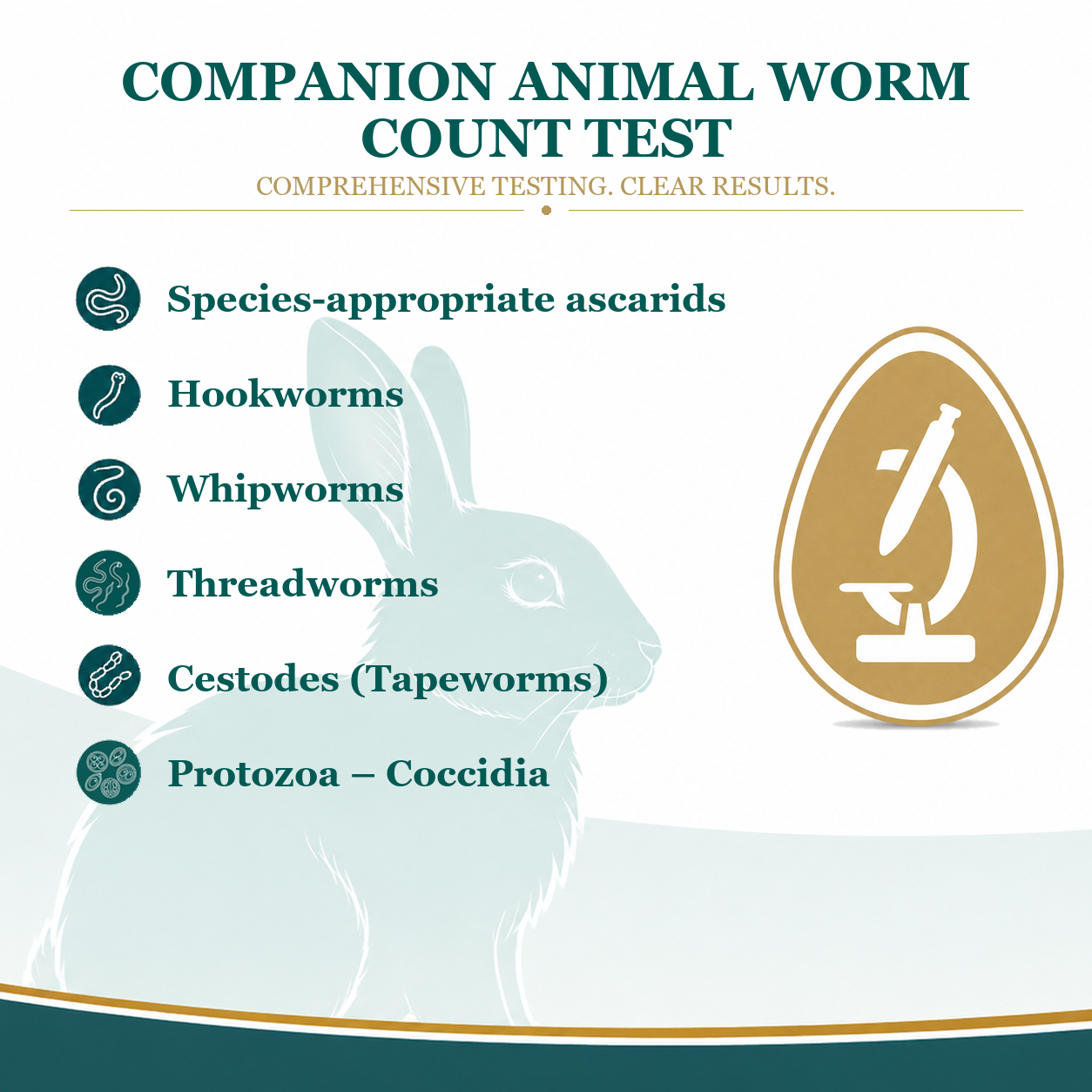 Rabbit worm count test
