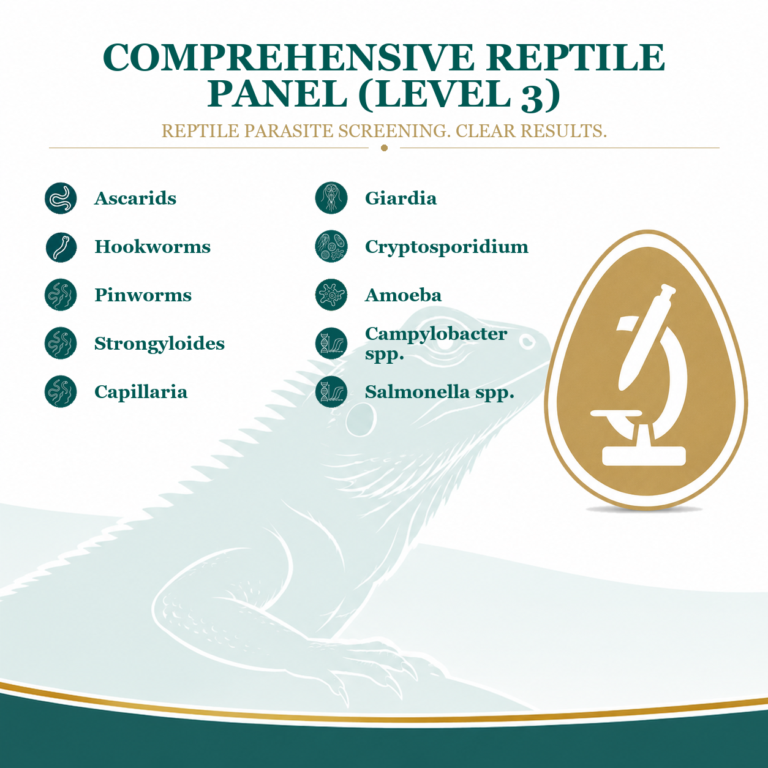 comprehensive reptile parasite test