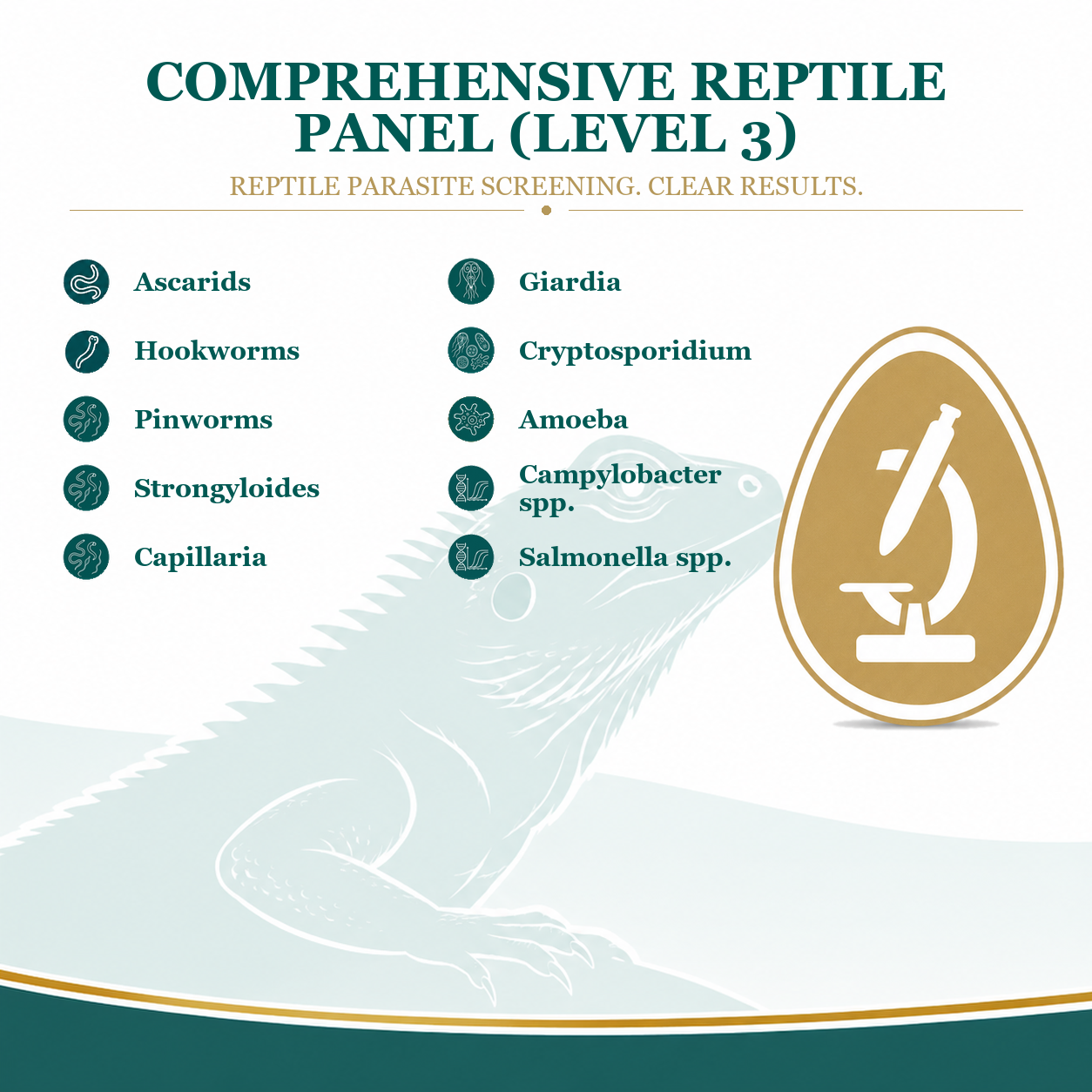 comprehensive reptile parasite test