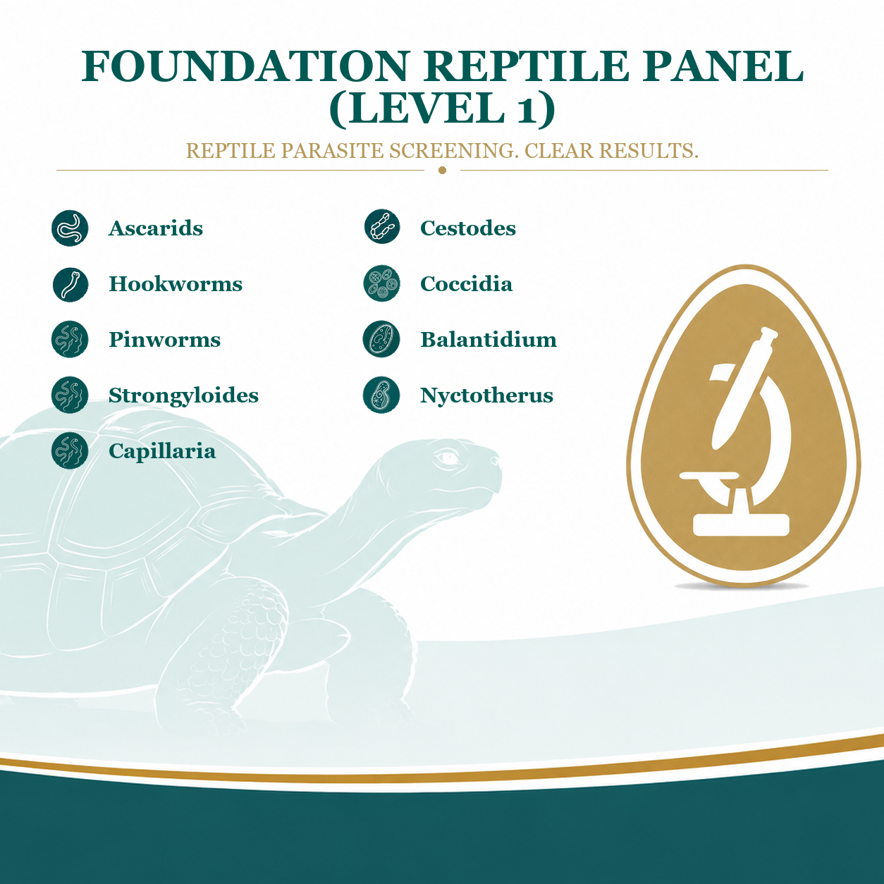 Reptile Parasite Test – Level 1 (Foundation)