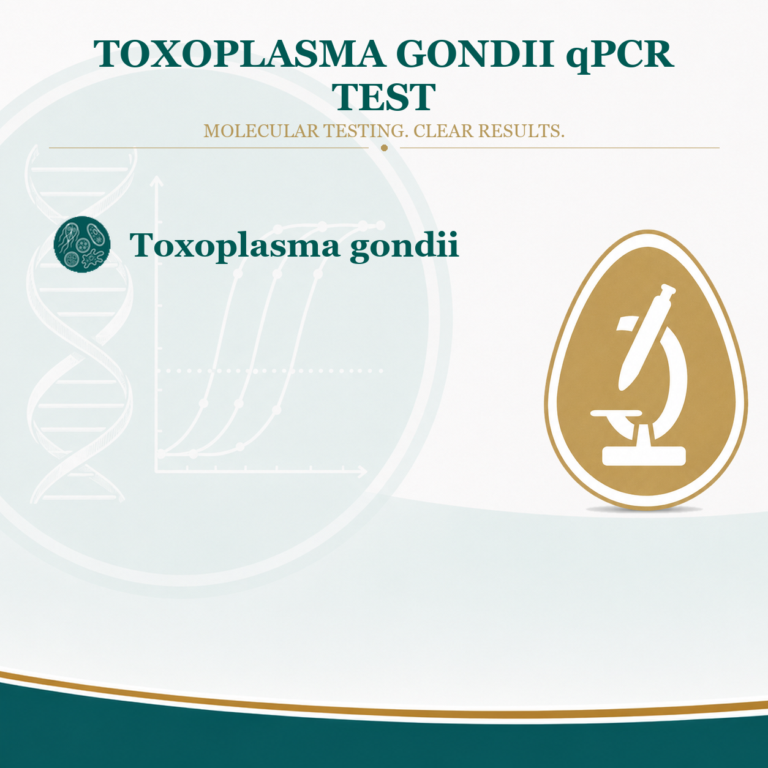 Toxoplasma gondii test