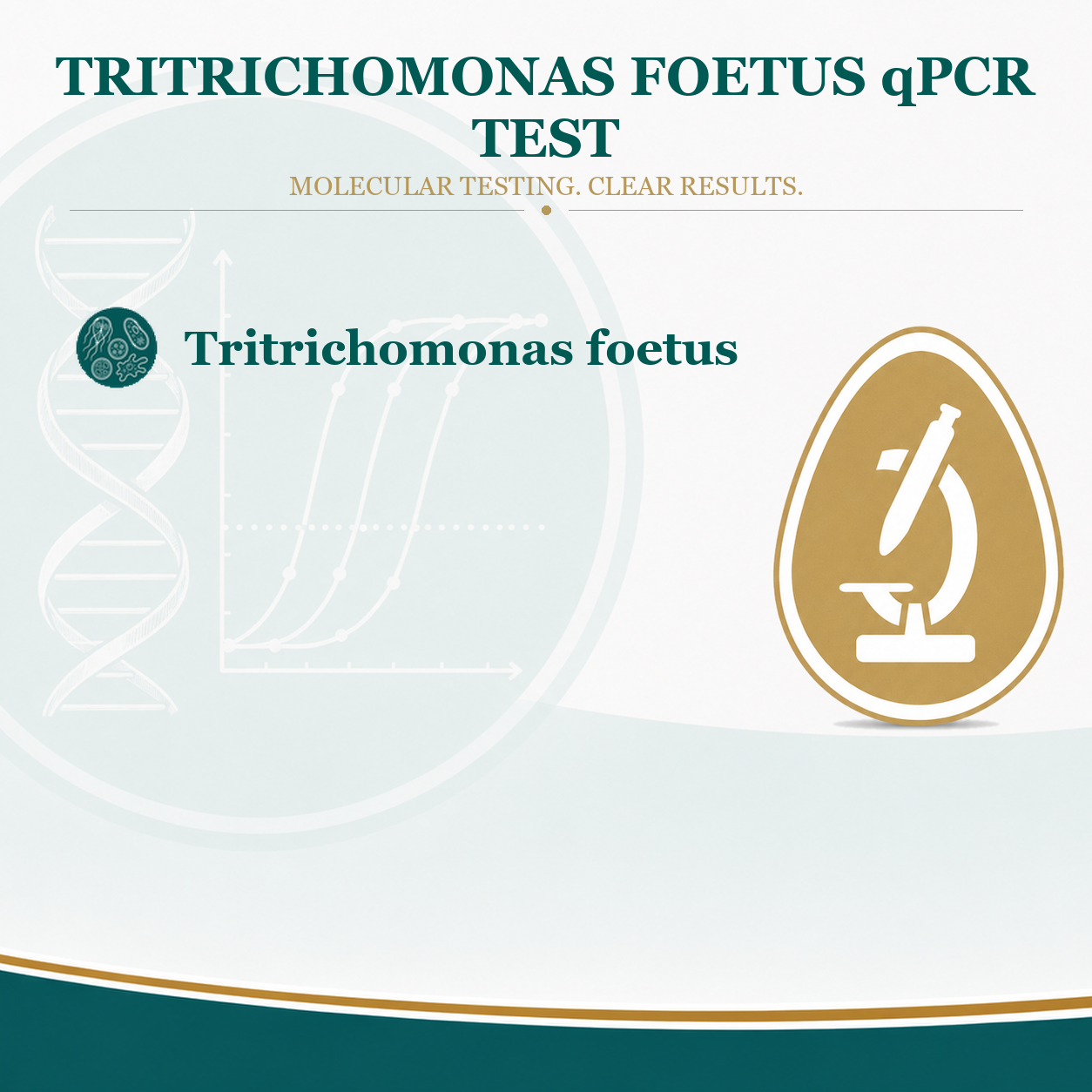 Tritrichomonas test for cats